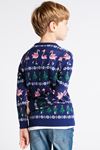 Multi Renk Erkek Çocuk Fairisle Desenli Flamingo Kazak